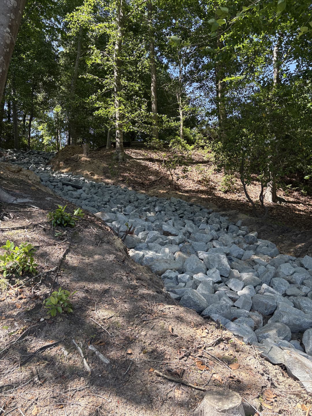 Rocky slope stabilization with vegetation in a forested area, promoting erosion control.