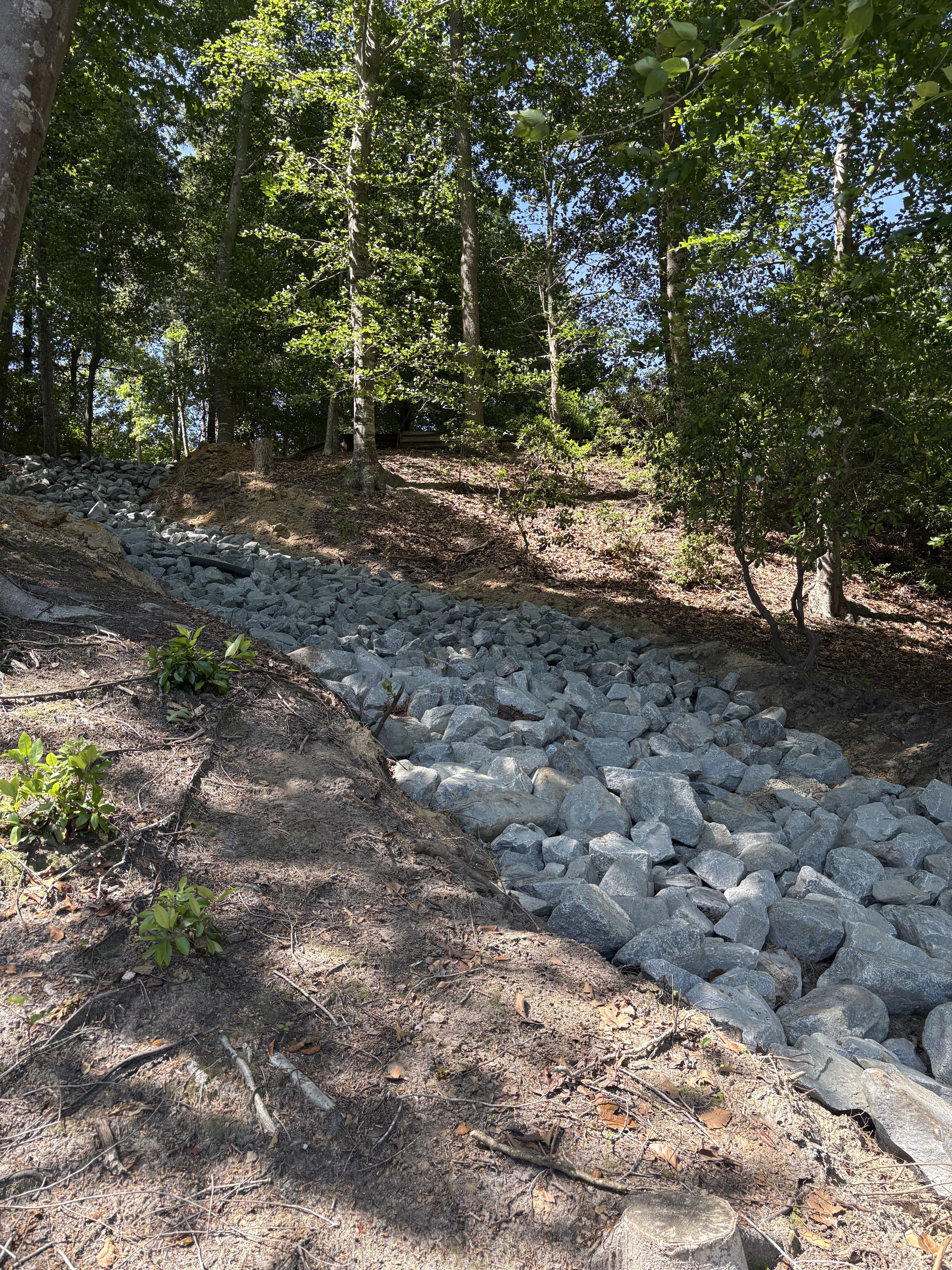 Rocky slope stabilization with vegetation in a forested area, promoting erosion control.