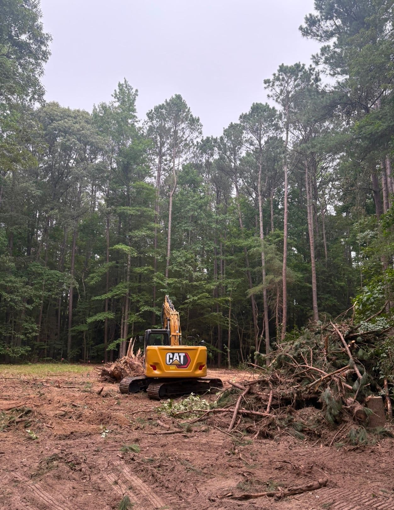Transforming Dense Woods into Build-Ready Land