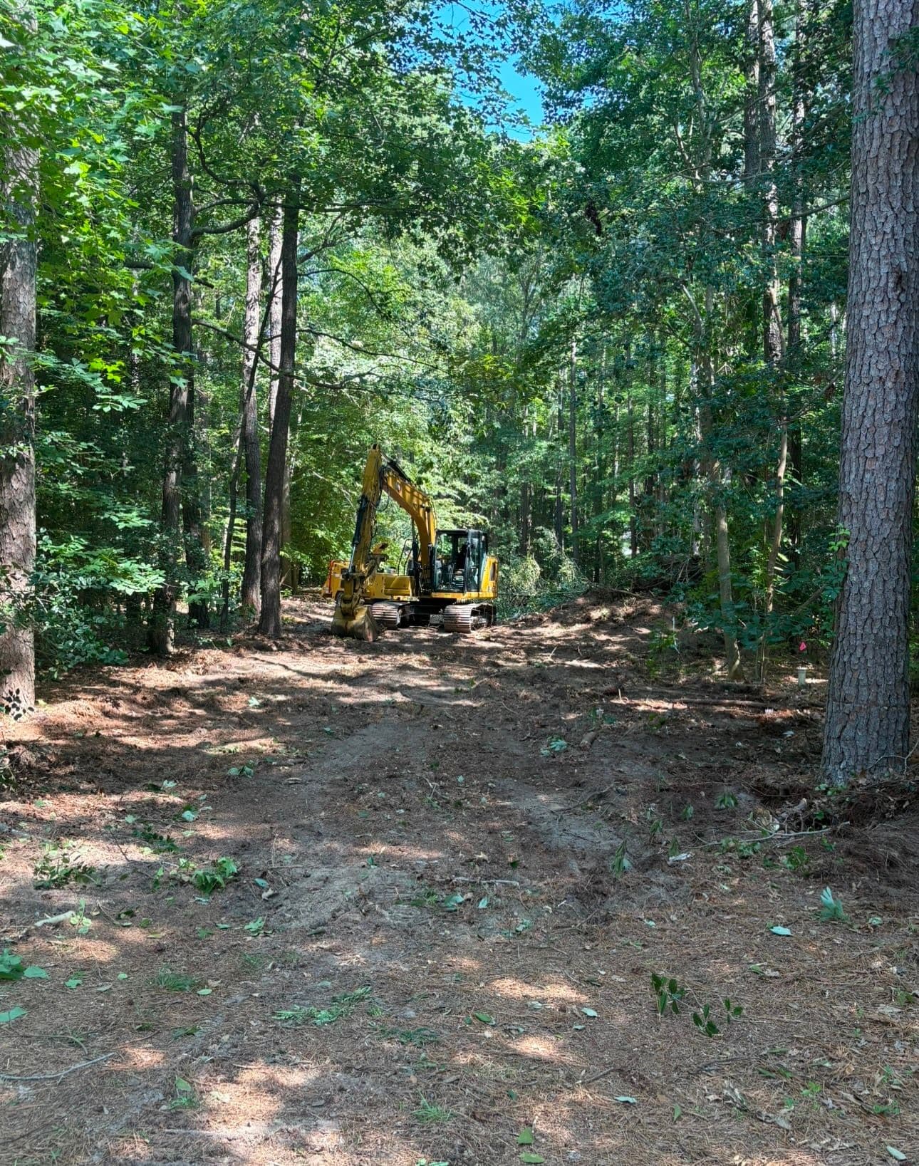 Transforming Dense Woods into Build-Ready Land