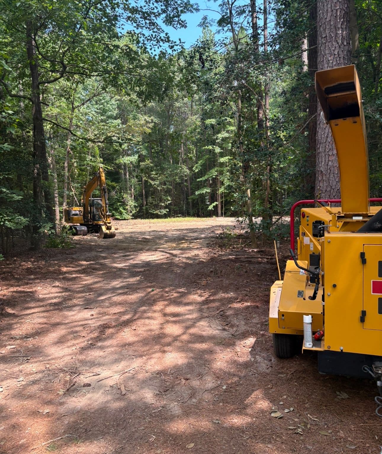 Gallery photos for Transforming Dense Woods into Build-Ready Land: Image #4