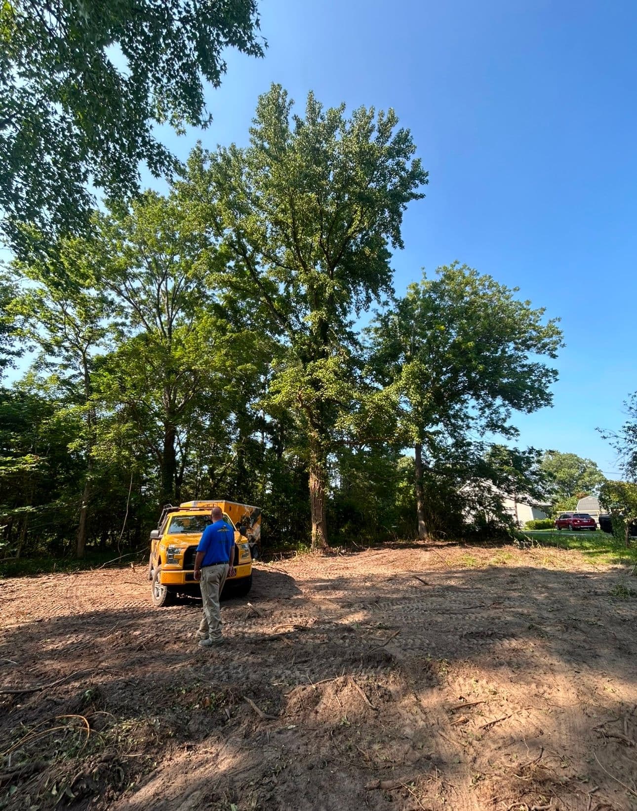 Gallery photos for Transforming Dense Woods into Build-Ready Land: Image #5
