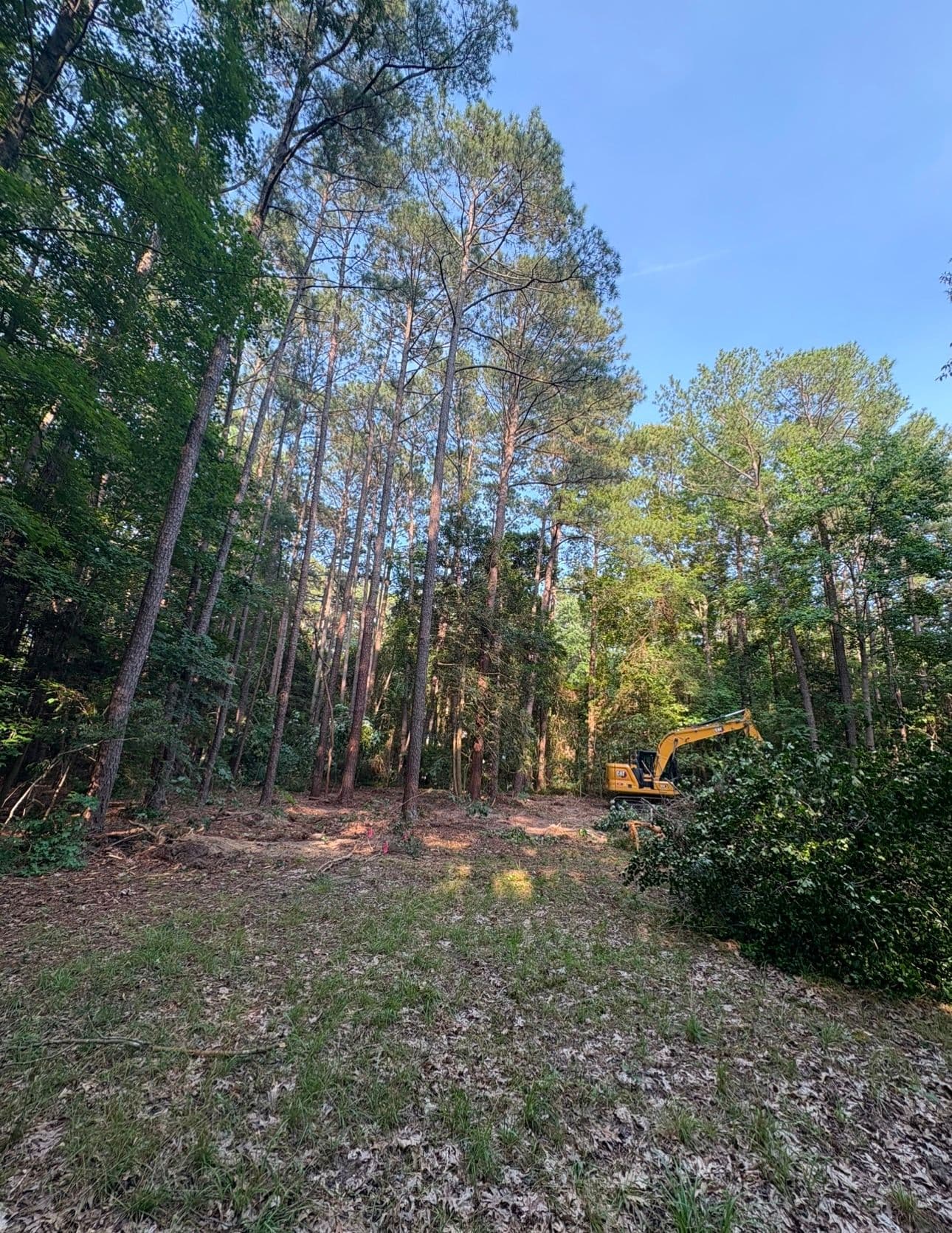 Gallery photos for Transforming Dense Woods into Build-Ready Land: Image #7