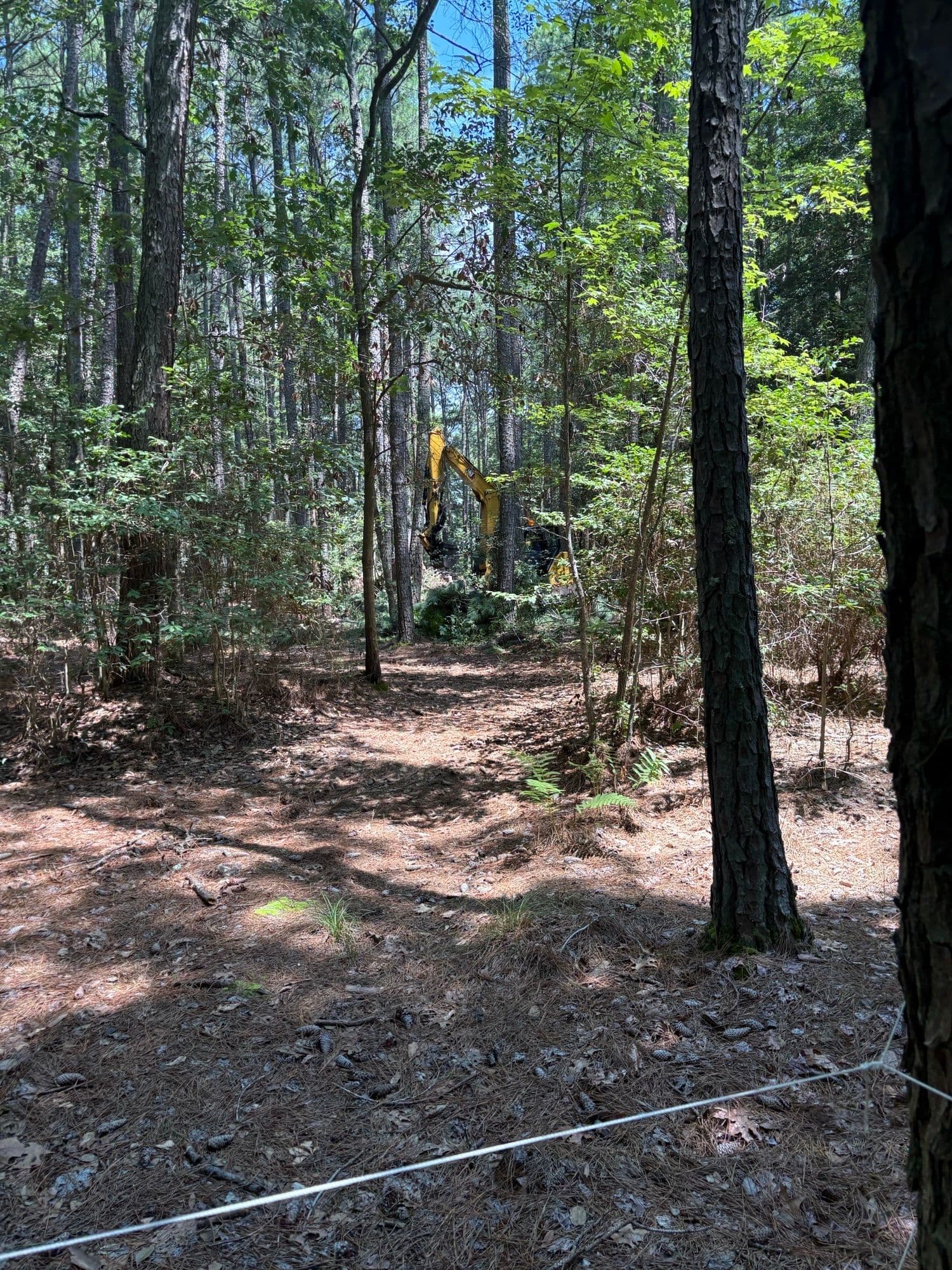 6 Acres Transformed with Expert Land Clearing