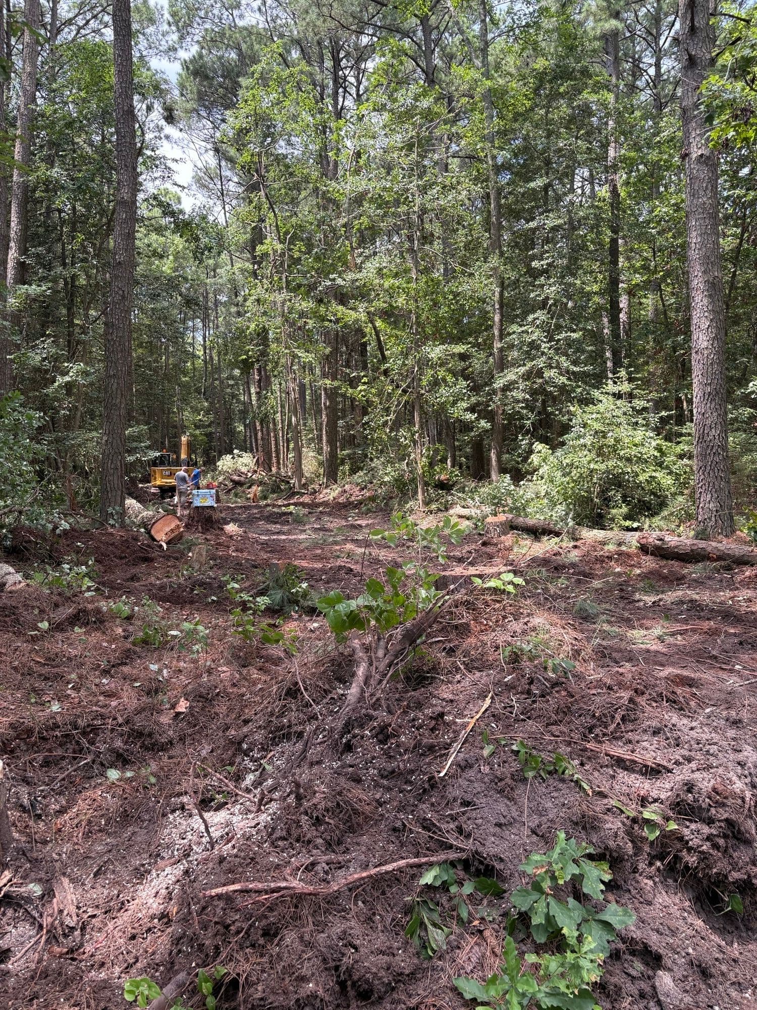 6 Acres Transformed with Expert Land Clearing