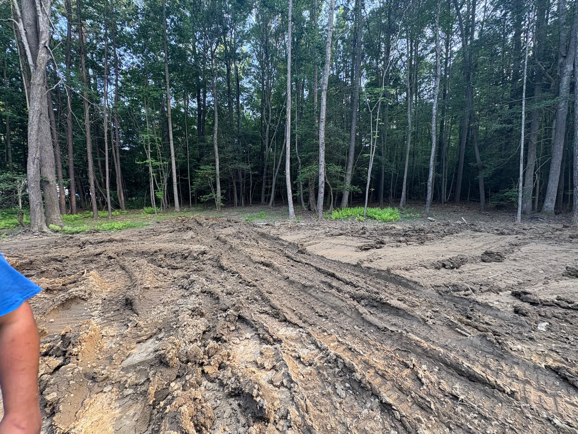 Gallery photos for Saluda Site Development for Dream Home: Image #2