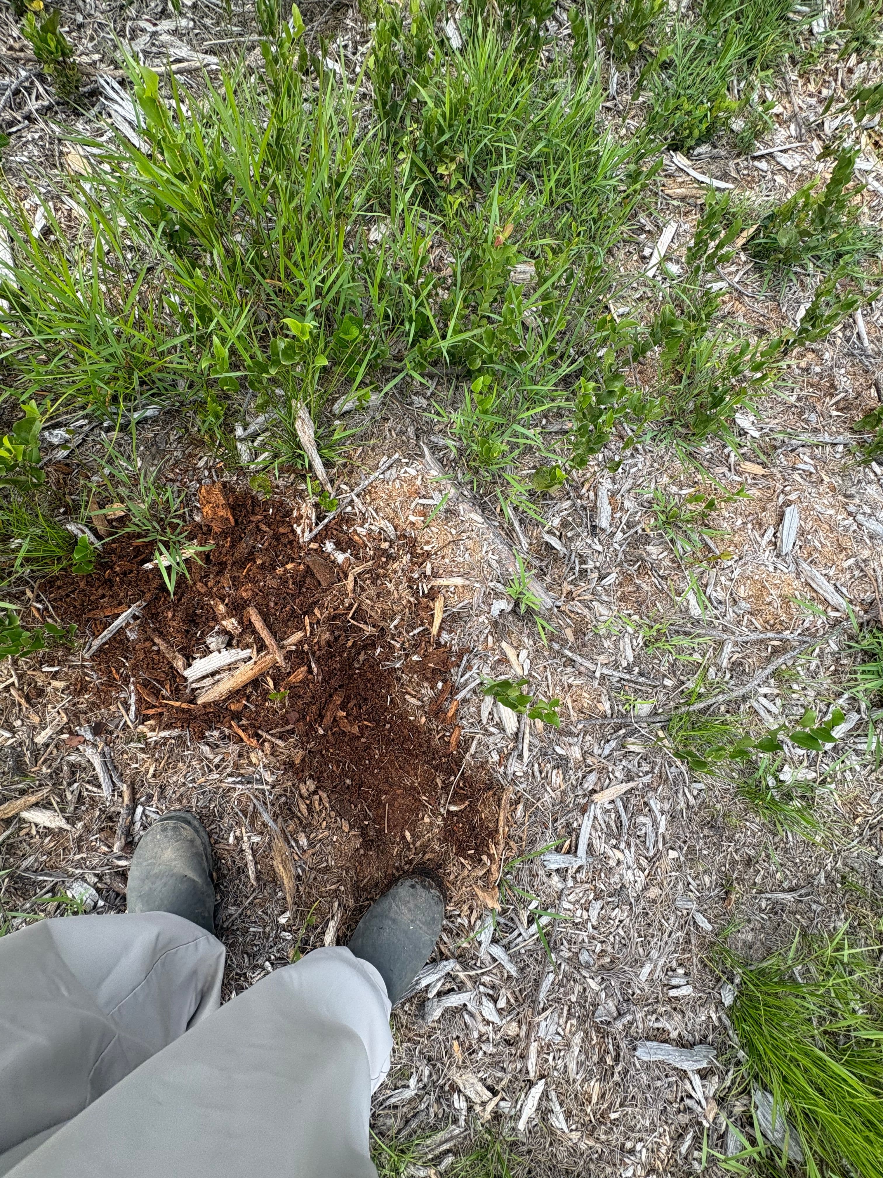 Featured post - The Importance of Clearing Land Correctly to Maintain Land Usability