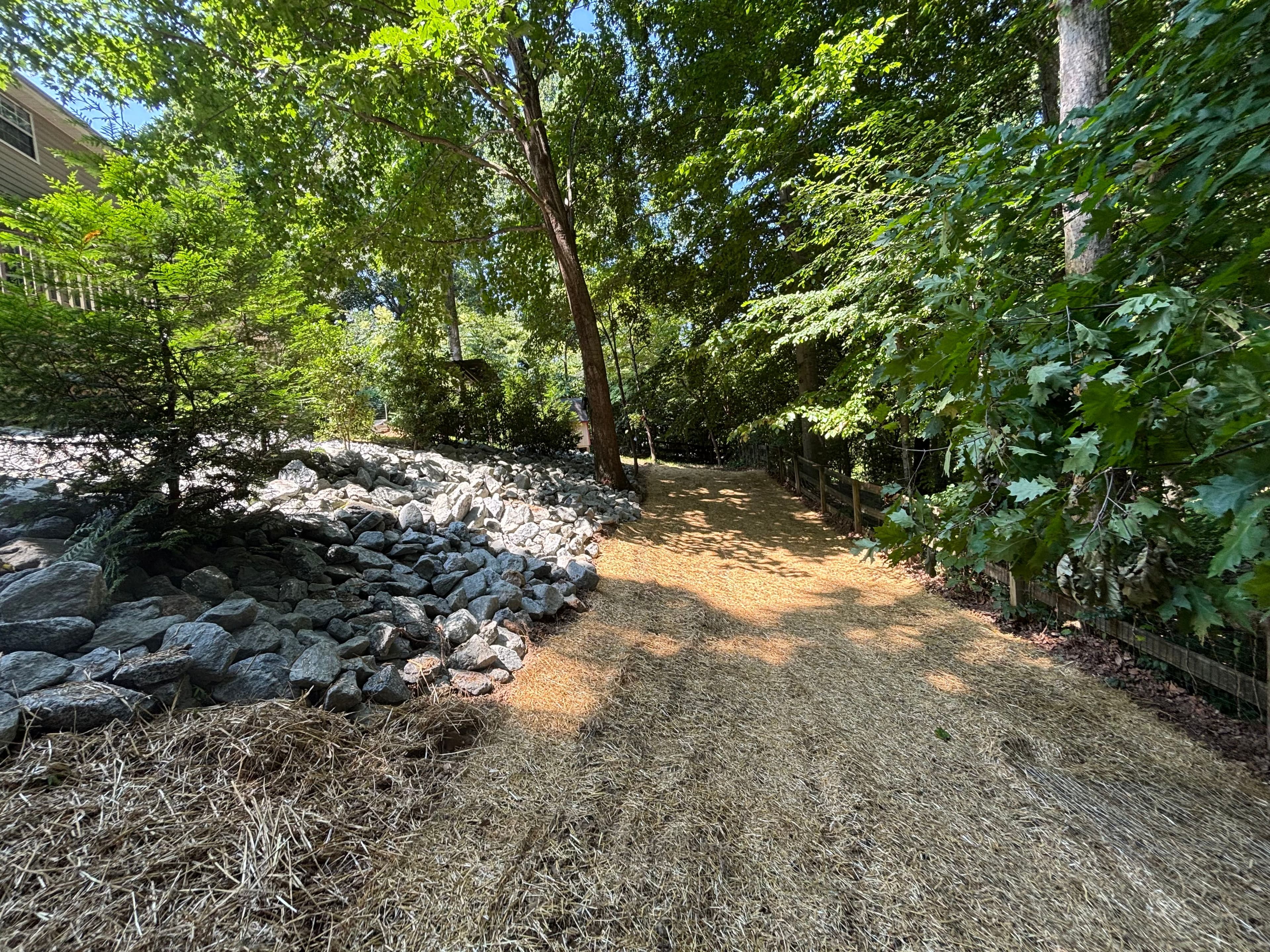 Project Transforming Erosion Into a Williamsburg Oasis image