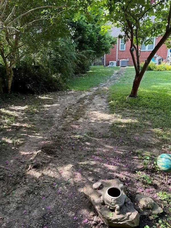 Gallery photos for Richmond Backyard Remediation: Image #3