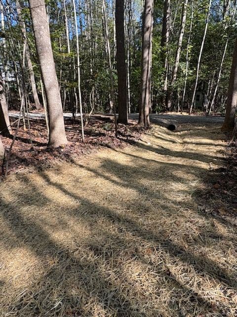 Gallery photos for New Kent Driveway Rehabilitation and Water Flow Solution: Image #1