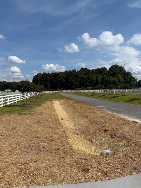 Gallery photos for Toano Parkland Transformation with Topsoil and Seed: Image #3