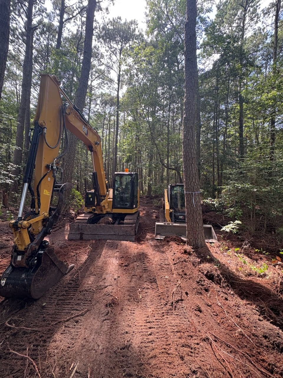 6 Acres Transformed with Expert Land Clearing image