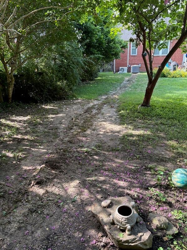Project Richmond Backyard Restoration Success image