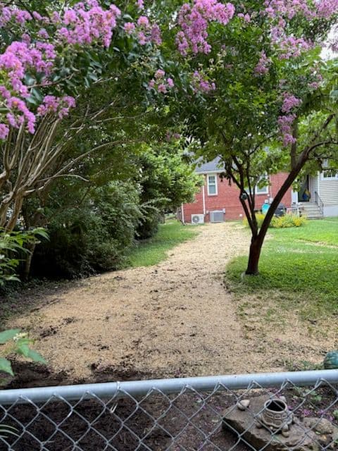Gallery photos for Richmond Backyard Restoration Success: Image #1