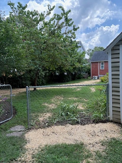 Gallery photos for Richmond Backyard Restoration Success: Image #2