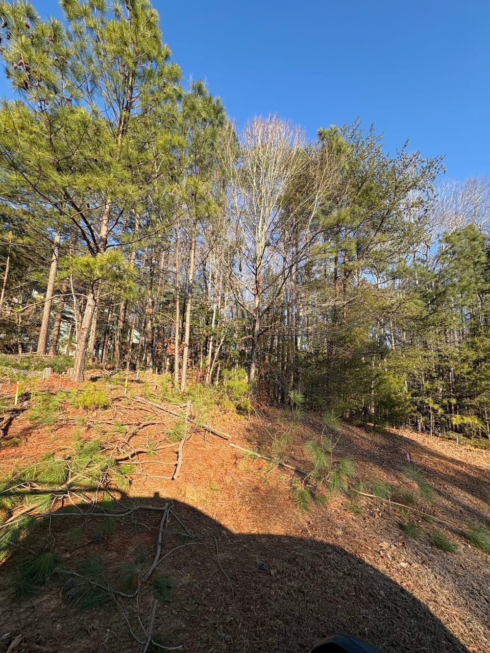 Gallery photos for Land Preparation for New Home Build in New Kent: Image #1