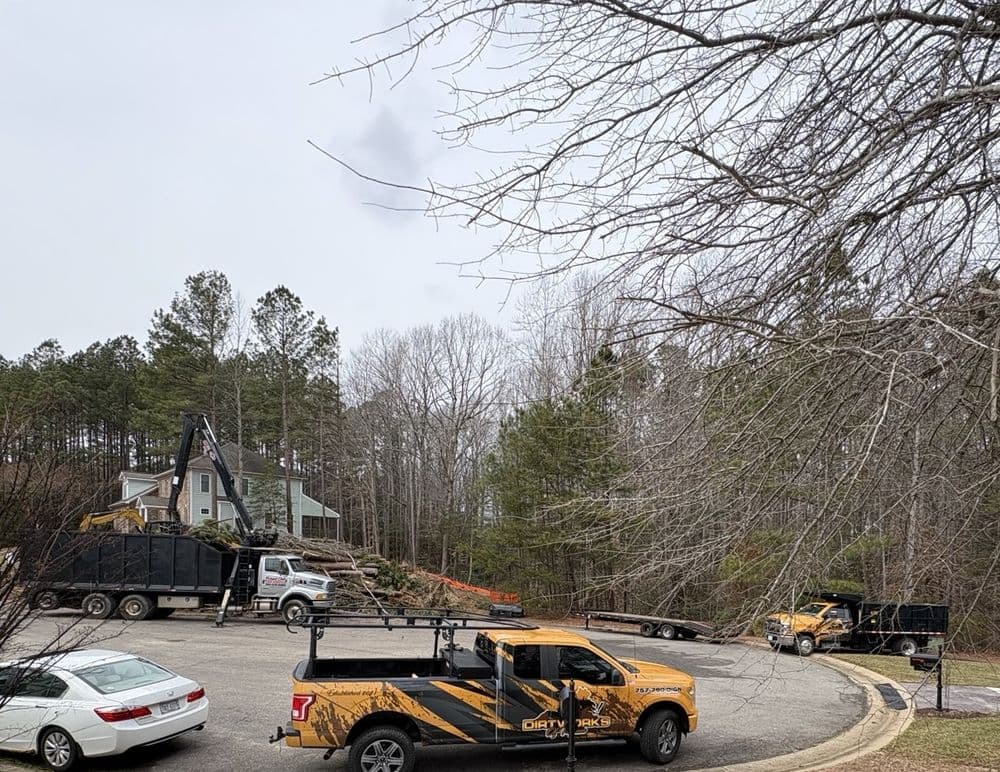 Project Land Preparation for New Home Build in New Kent image