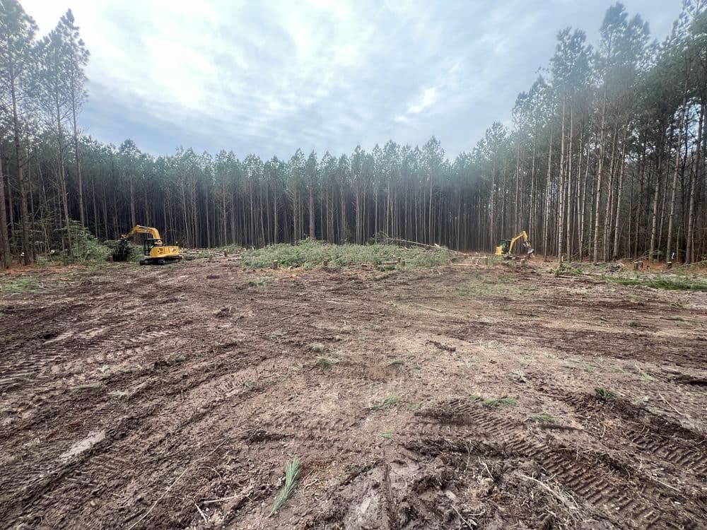 Forest Preparation and Infrastructure Installation in Gloucester image