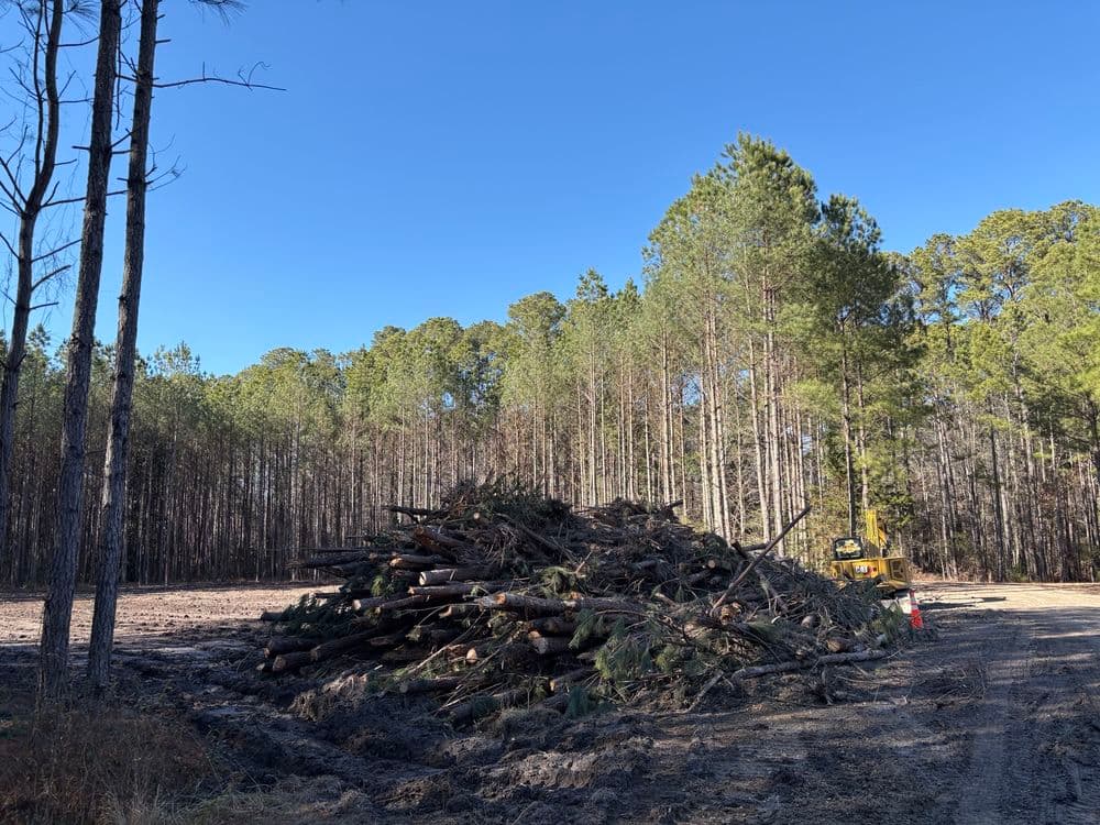 Gallery photos for Forest Preparation and Infrastructure Installation in Gloucester: Image #3