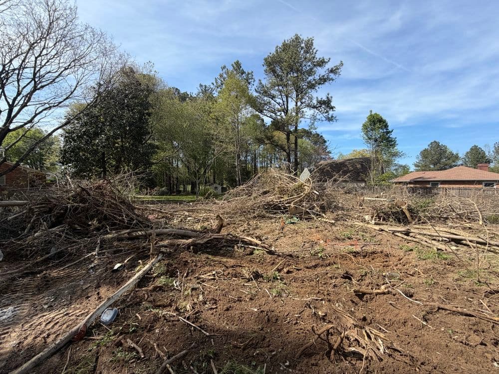 Cleared land with tree debris and underbrush under a blue sky in a residential area.