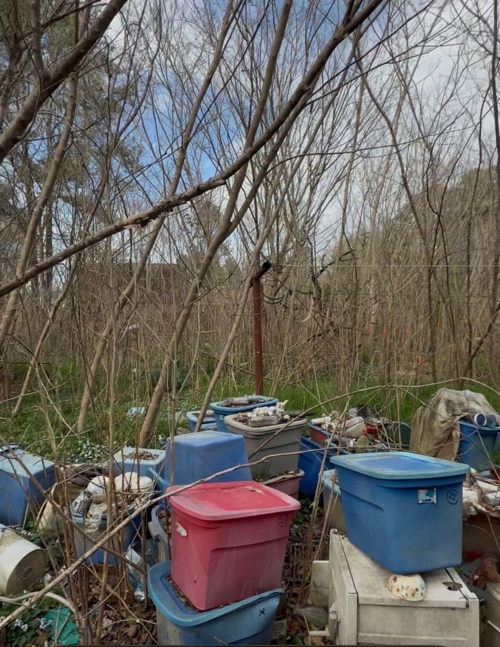 Gallery photos for Inherited Property Cleanout and Land Clearing in Ashland VA: Image #3