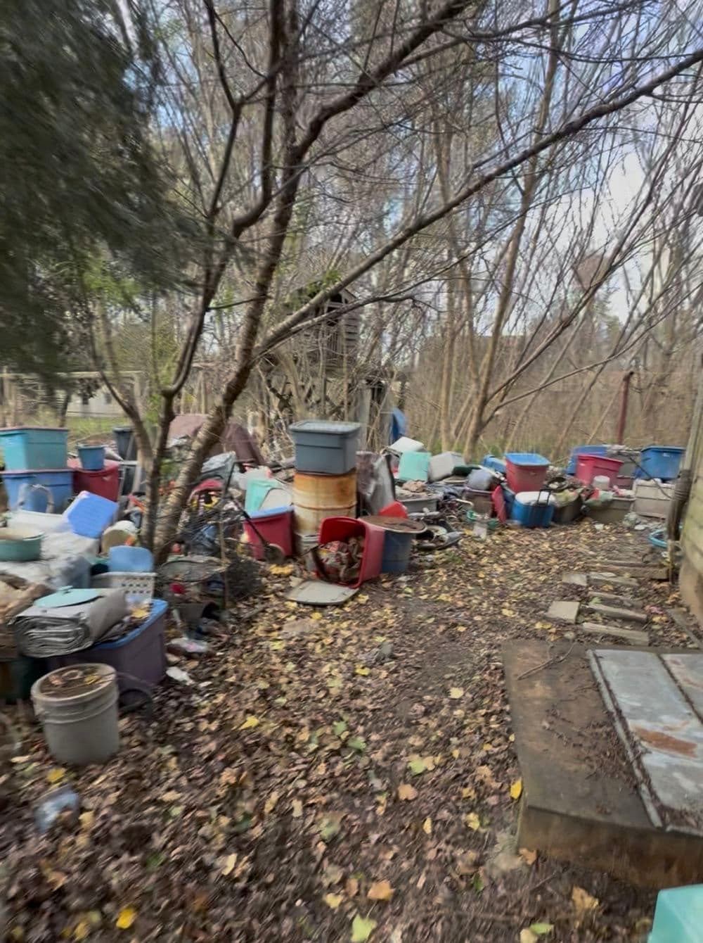 Gallery photos for Inherited Property Cleanout and Land Clearing in Ashland VA: Image #2