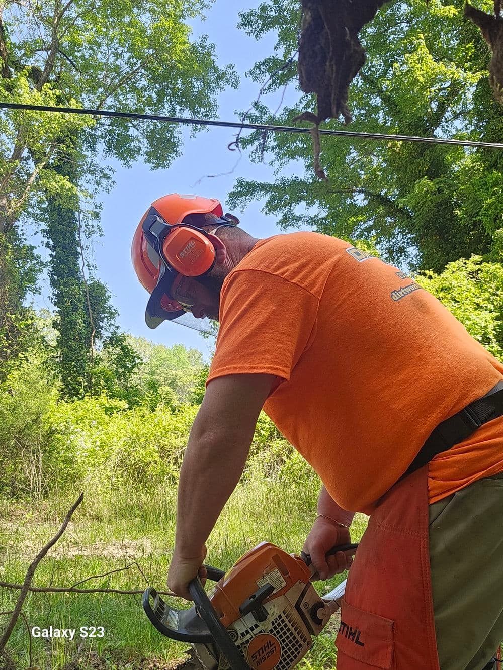 Gallery photos for 1.2 Acre Land Clearing With RCP Pipe Install in New Kent County: Image #1