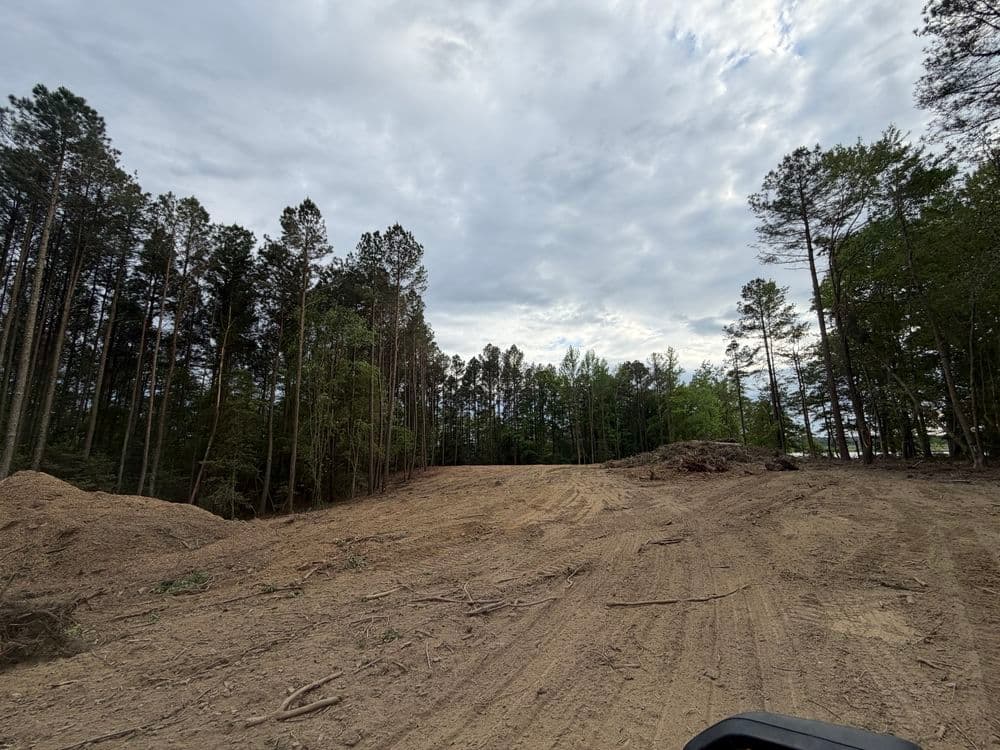 Gallery photos for 2-Acre Peninsula Land Clearing on the Chickahominy River: Image #1