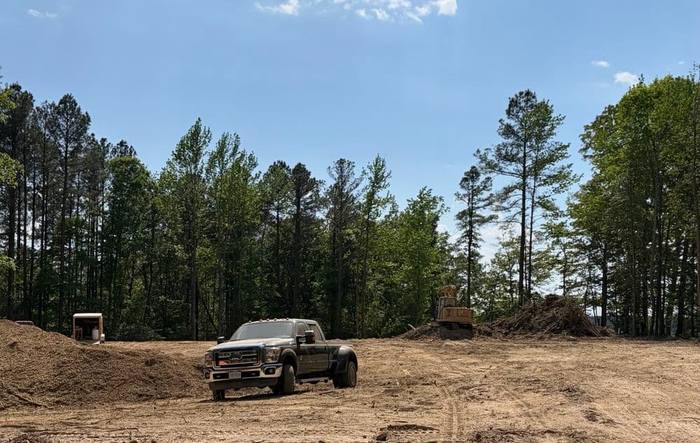 Gallery photos for 2-Acre Peninsula Land Clearing on the Chickahominy River: Image #2