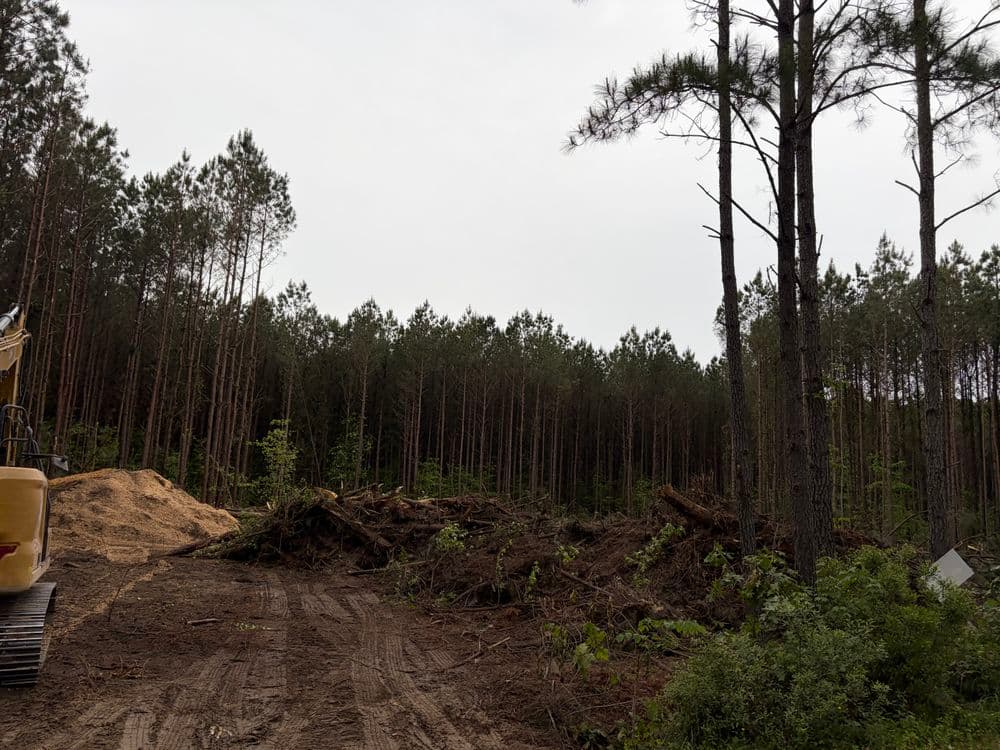Gallery photos for 1 Acre Pine Clearing for New Home Build in Gloucester VA: Image #1
