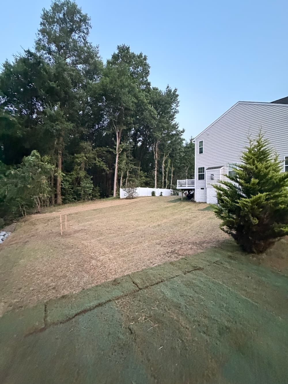 Storm-Caused Sinkhole Repair and Backyard Expansion in Williamsburg image