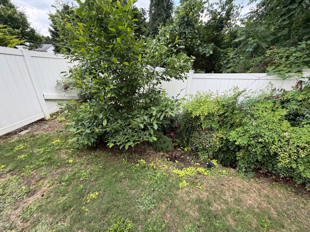 Gallery photos for Storm-Caused Sinkhole Repair and Backyard Expansion in Williamsburg: Image #2