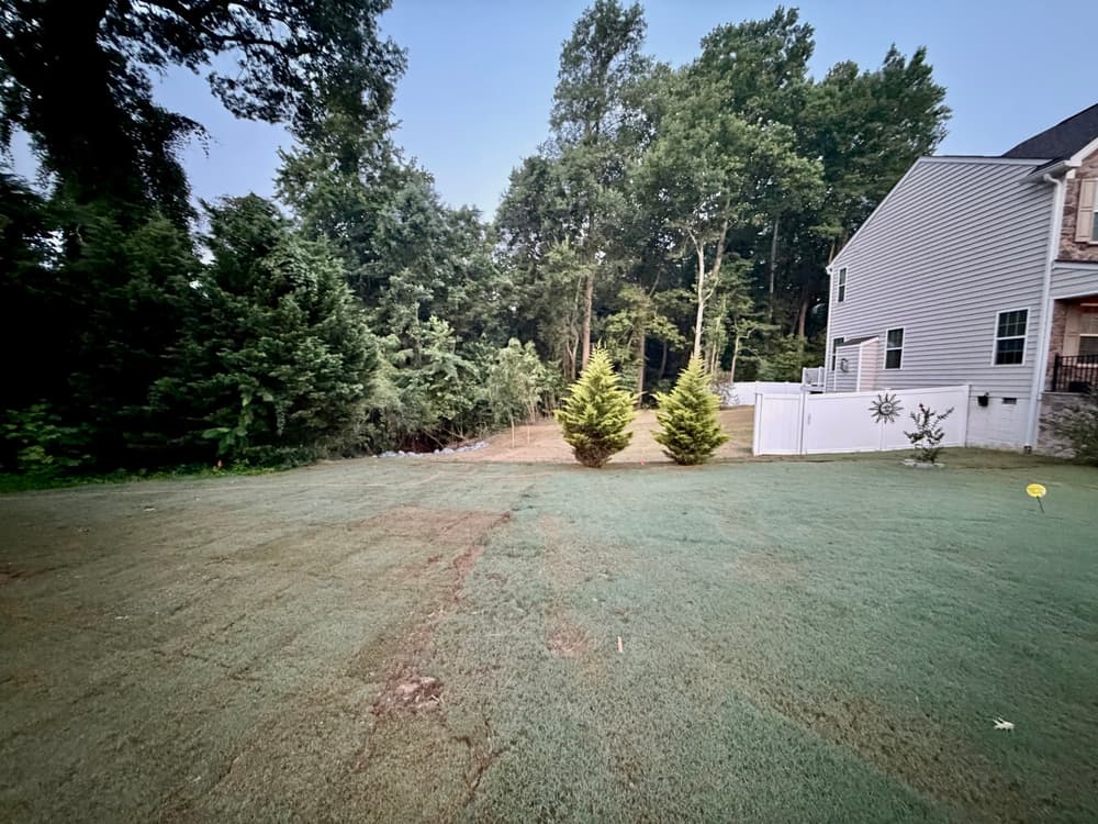 Gallery photos for Storm-Caused Sinkhole Repair and Backyard Expansion in Williamsburg: Image #10