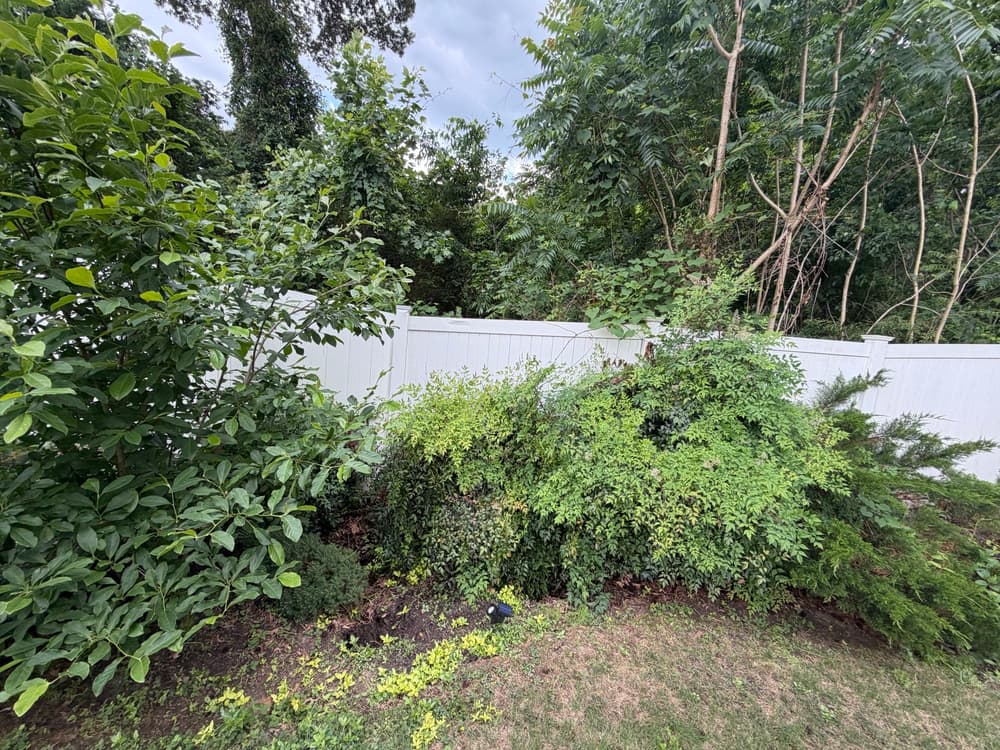 Gallery photos for Storm-Caused Sinkhole Repair and Backyard Expansion in Williamsburg: Image #1