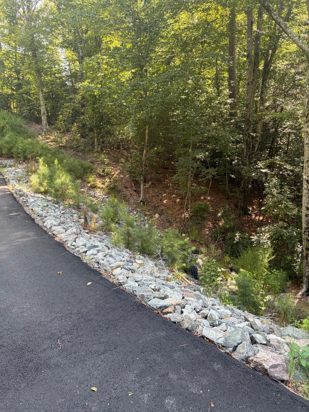 Gallery photos for Sinkhole and Erosion Repair with Rip Rap in Toano: Image #2