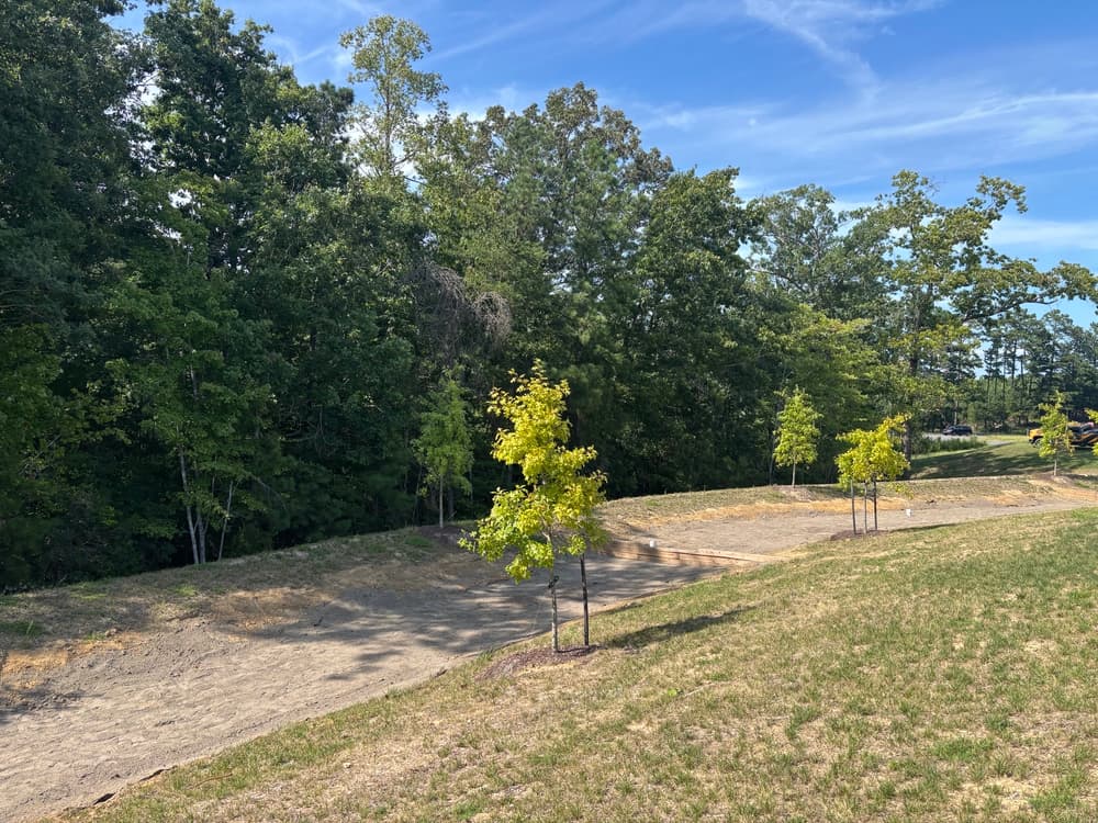 Gallery photos for Multiple BMP Restoration in West Point : Image #9