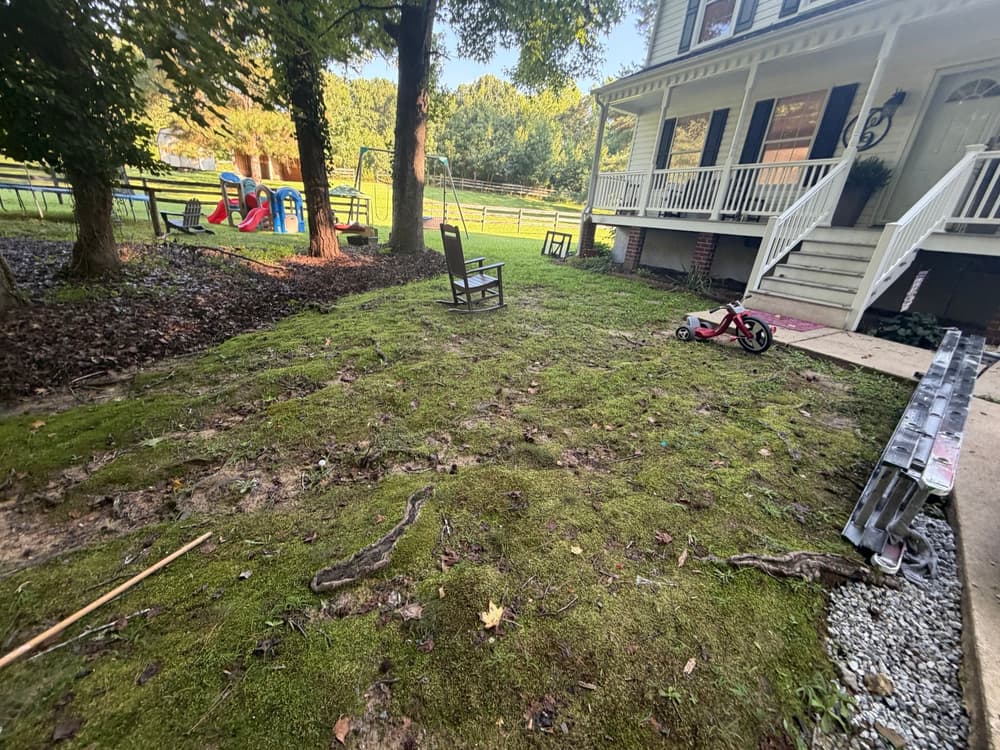 Gallery photos for Full Erosion Repair and Yard Regrading in New Kent: Image #2