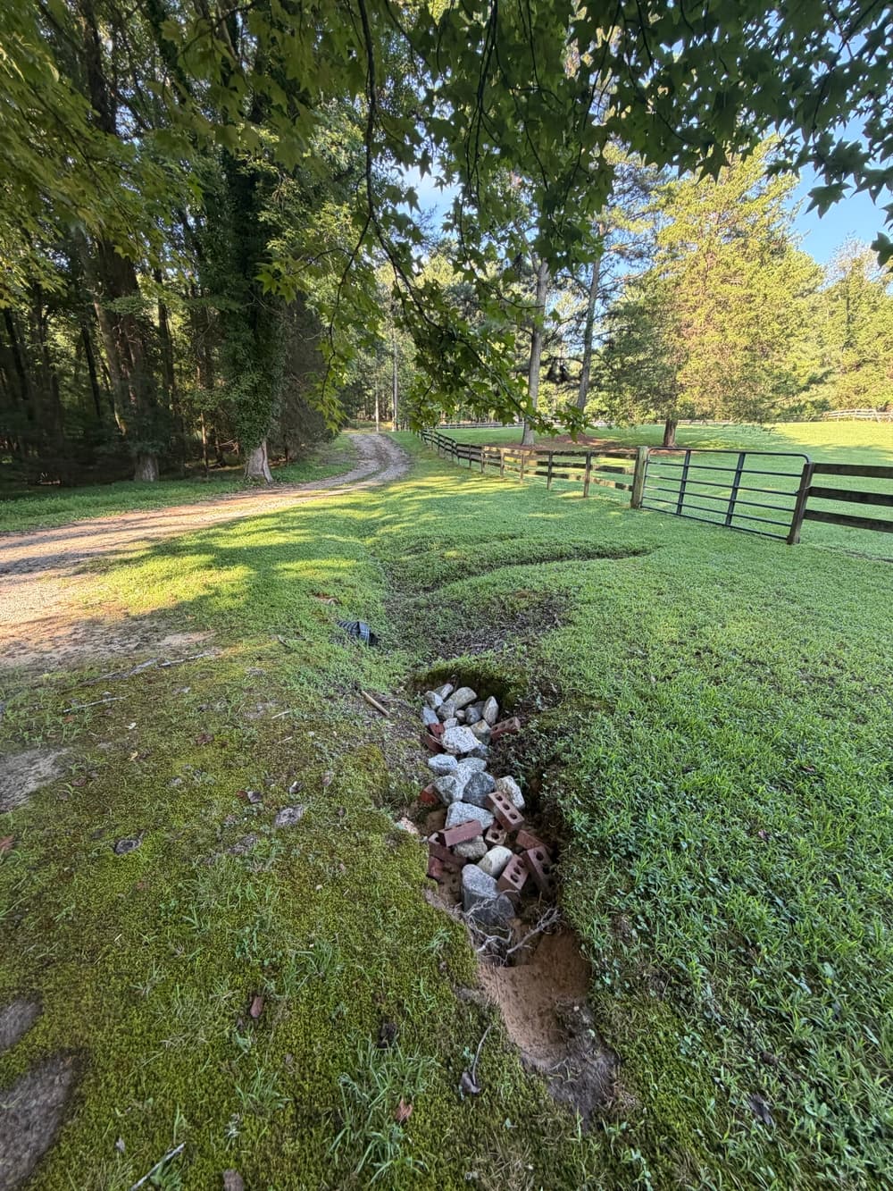 Gallery photos for Full Erosion Repair and Yard Regrading in New Kent: Image #4