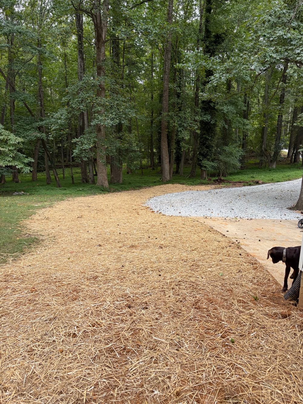 Full Erosion Repair and Yard Regrading in New Kent image