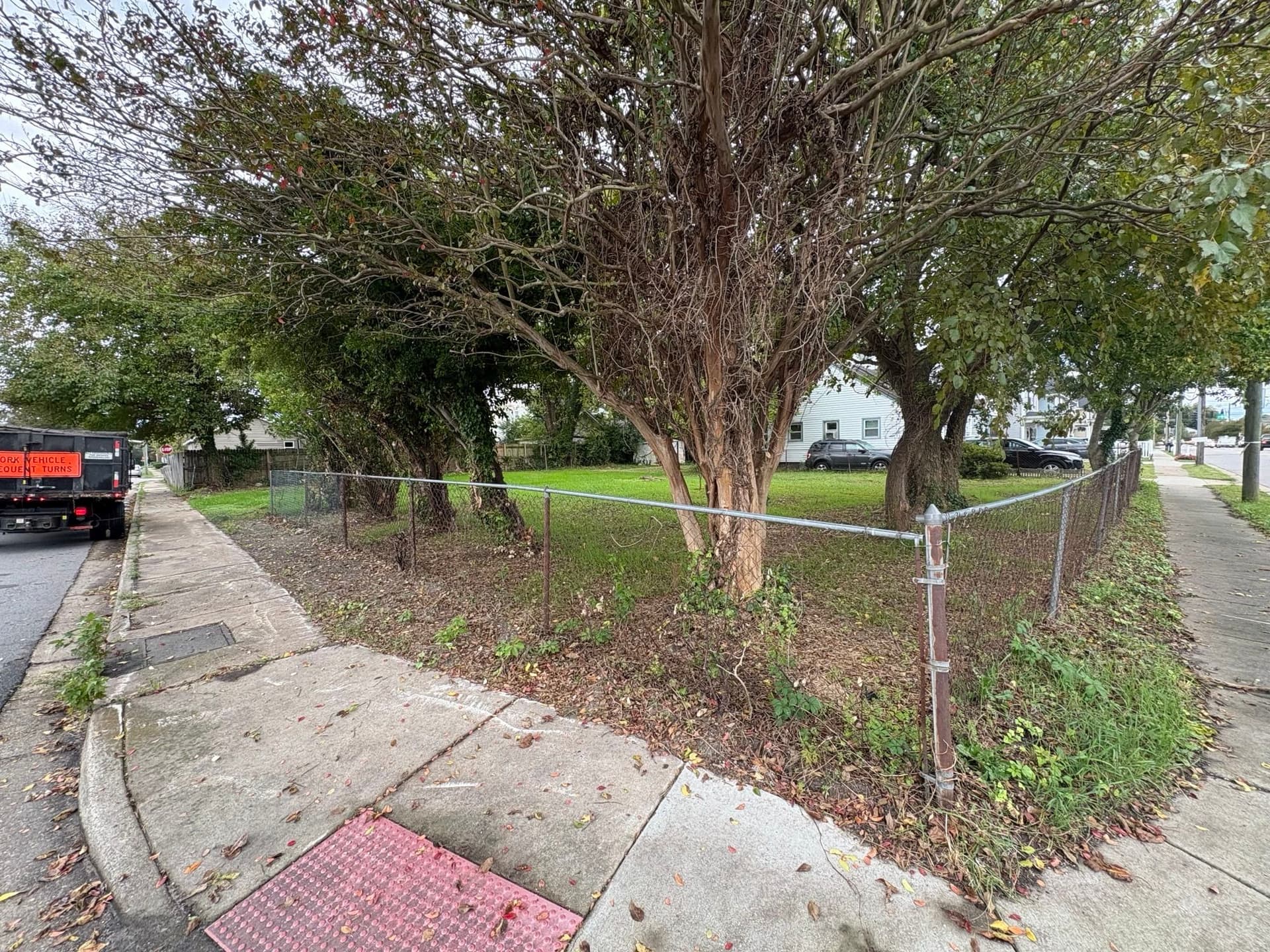 Gallery photos for Transformative Clearing and Grading in Norfolk: Image #8