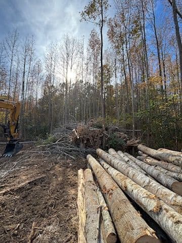 From Trees to Trenches - DirtWorks of Virginia in Action image