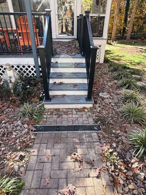 Gallery photos for From Trees to Trenches - DirtWorks of Virginia in Action: Image #1