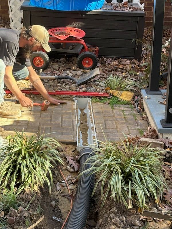 Gallery photos for From Trees to Trenches - DirtWorks of Virginia in Action: Image #3