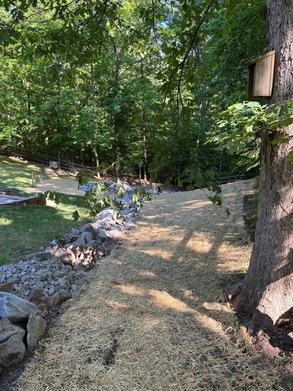 Gallery photos for Severe Erosion Fix in Virginia That Two Contractors Couldn't Solve: Image #4