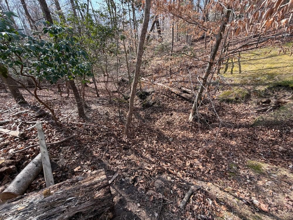 Gallery photos for Severe Erosion Fix in Virginia That Two Contractors Couldn't Solve: Image #9