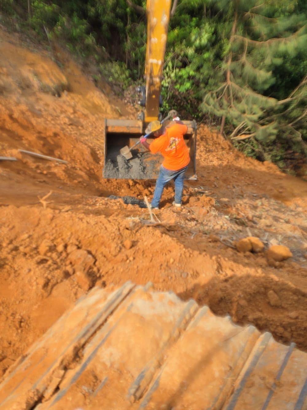 Gallery photos for Major Slope Erosion Repair on a 60% Grade in Lanexa: Image #32