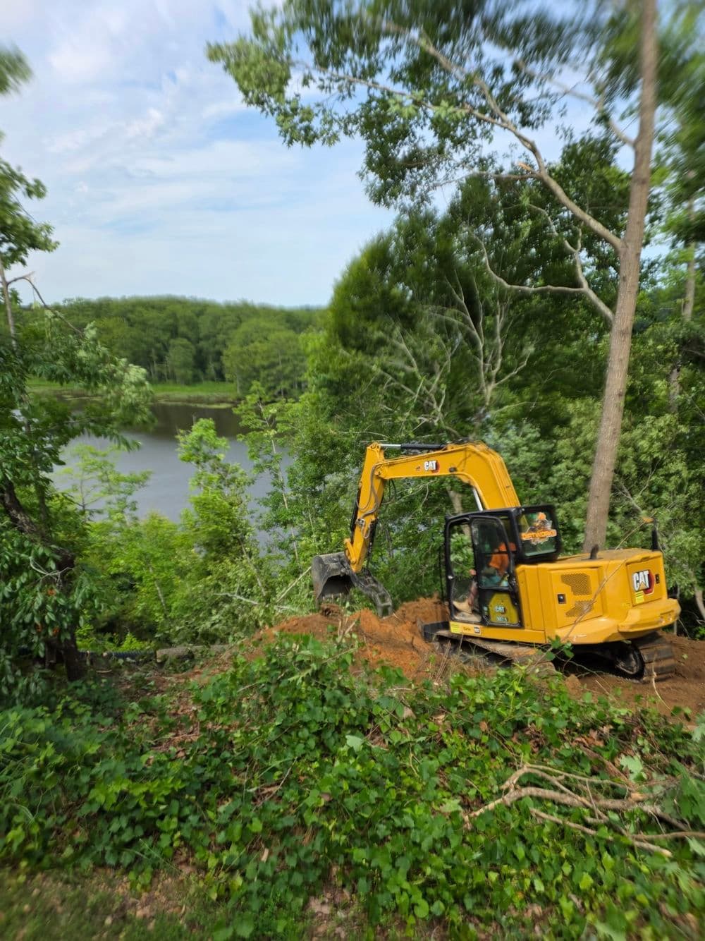 Gallery photos for Major Slope Erosion Repair on a 60% Grade in Lanexa: Image #8