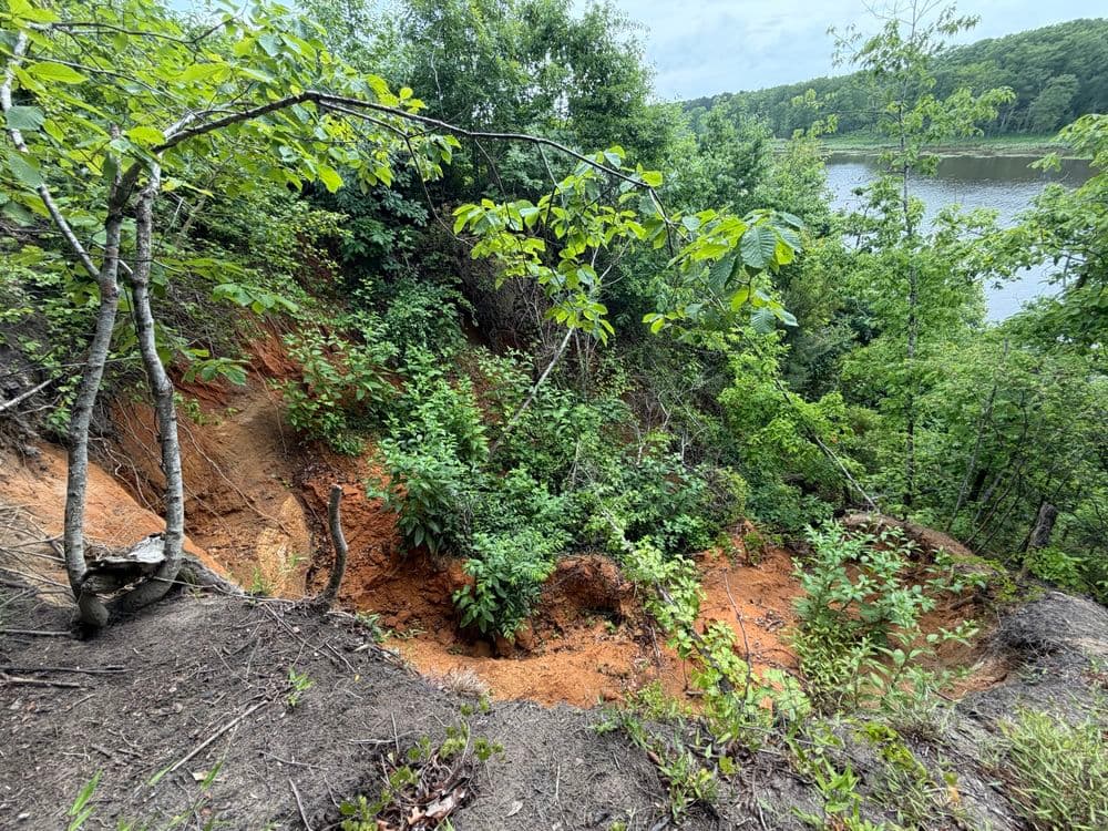 Gallery photos for Major Slope Erosion Repair on a 60% Grade in Lanexa: Image #4