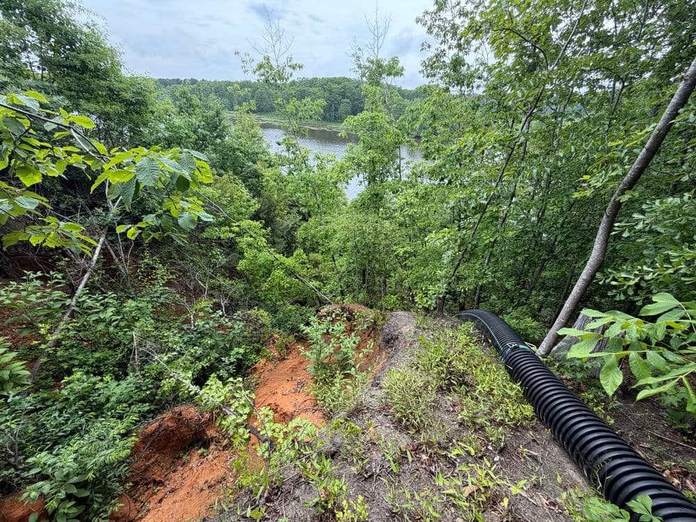Gallery photos for Major Slope Erosion Repair on a 60% Grade in Lanexa: Image #6