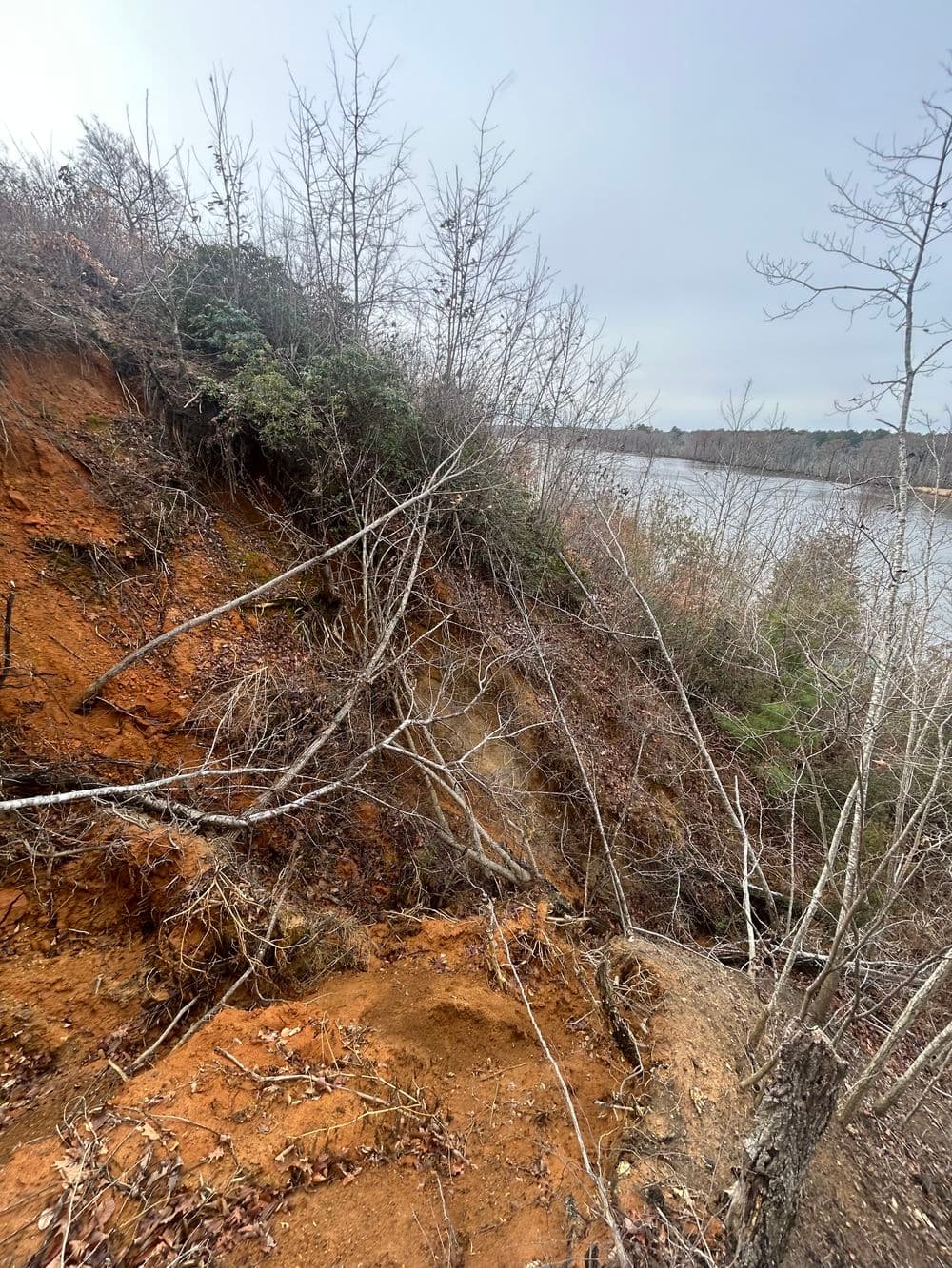 Gallery photos for Major Slope Erosion Repair on a 60% Grade in Lanexa: Image #2